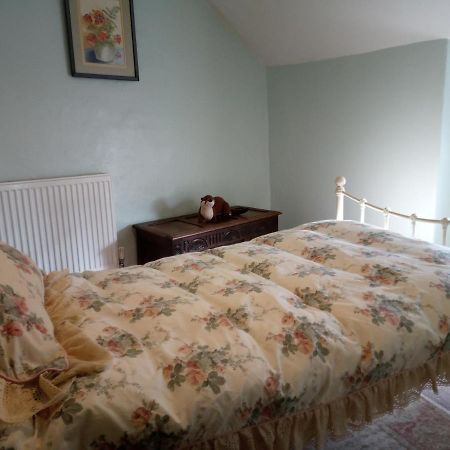 Ty Hen - Quirky Grade II Listed Cottage Blaenau Ffestiniog Exteriér fotografie