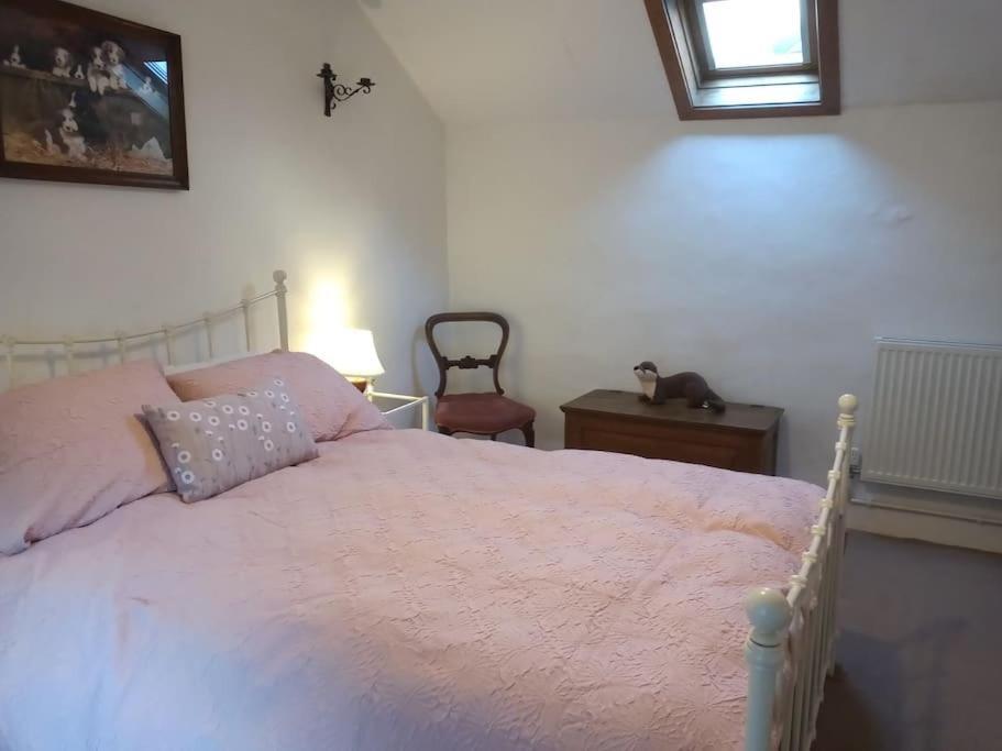 Ty Hen - Quirky Grade II Listed Cottage Blaenau Ffestiniog Exteriér fotografie